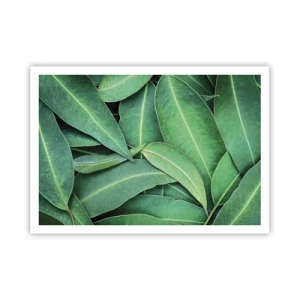 Affiche - Poster - Gros plan de feuilles vertes créant un motif naturel - 100x70cm - Juteux et frais - Décoration murale moderne pour le salon et la chambre ARTTOR