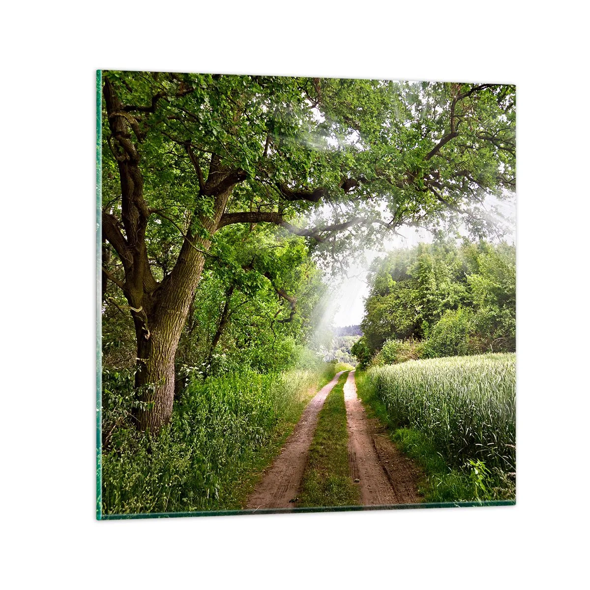 Impression sur verre - Image sur verre - Et in Arcadia ego - 60x60 cm