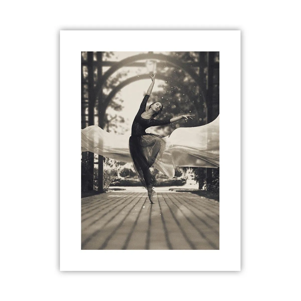 Affiche - Poster - La danse de l'esprit jardin - 30x40 cm