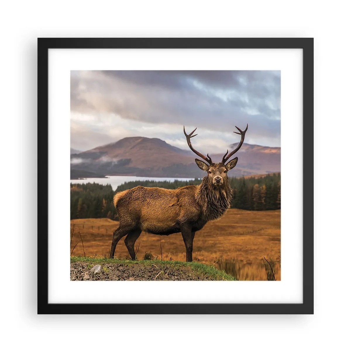 Affiche dans un cadre noir - Poster - Majesté de la nature - 40x40 cm