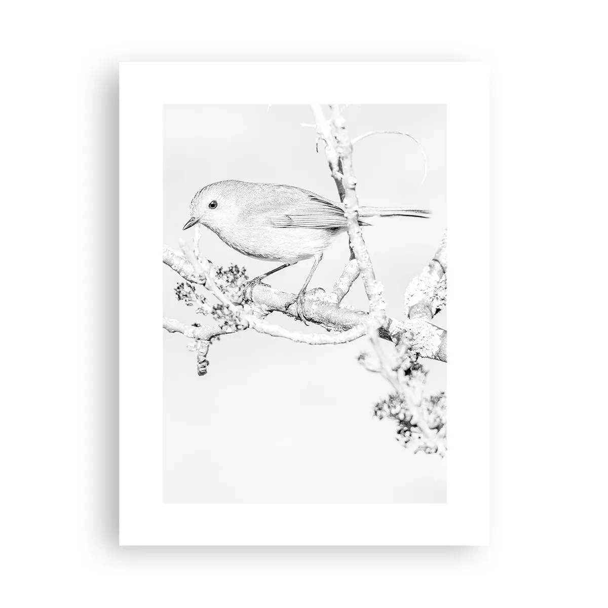 Affiche - Poster - Matin d'hiver - 30x40 cm