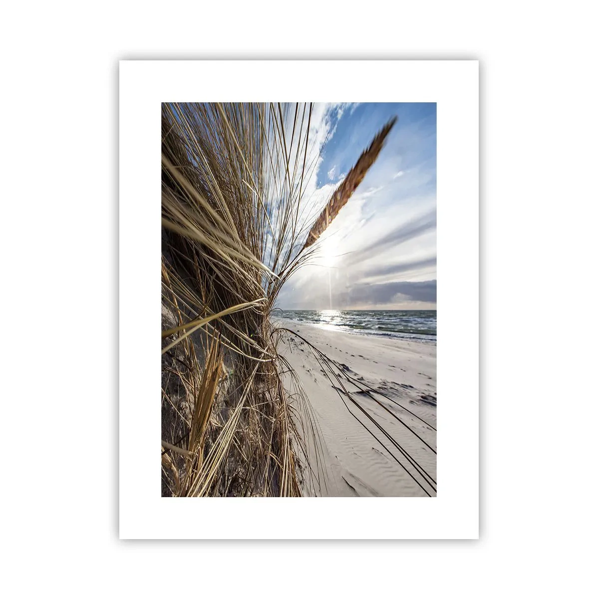 Affiche - Poster - Rencontre des éléments - 30x40 cm