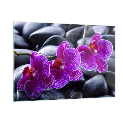 Impression sur verre - Image sur verre - Orchidées violettes sur fond de pierres lisses - 120x80cm - Les pierres brillaient de joie - Décoration murale moderne pour le salon et la chambre ARTTOR