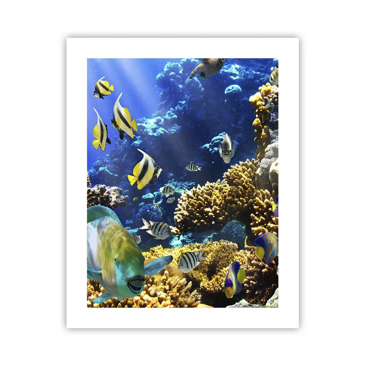 Affiche - Poster - Beaucoup de circulation sur la route des vacances - 40x50 cm