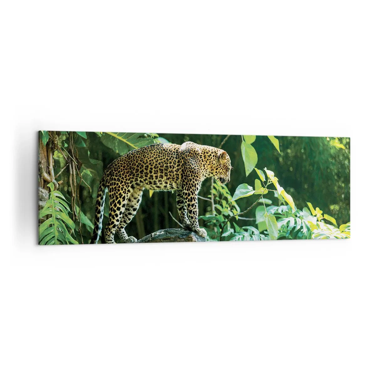Impression sur toile - Image sur toile - Un léopard debout sur un rocher entouré de végétation tropicale - 160x50cm - À la chasse? - Décoration murale moderne pour le salon et la chambre ARTTOR