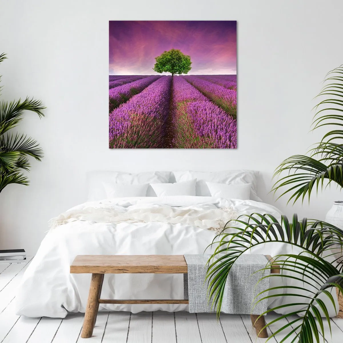 Impression sur toile - Image sur toile - Dans un champs de lavande - 40x40 cm