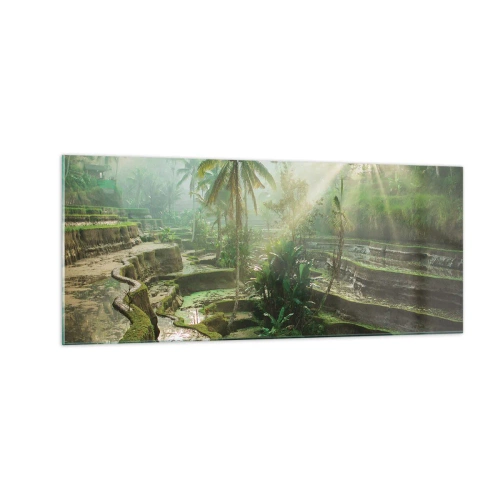 Impression sur verre - Image sur verre - Grandir au soleil - 100x40 cm