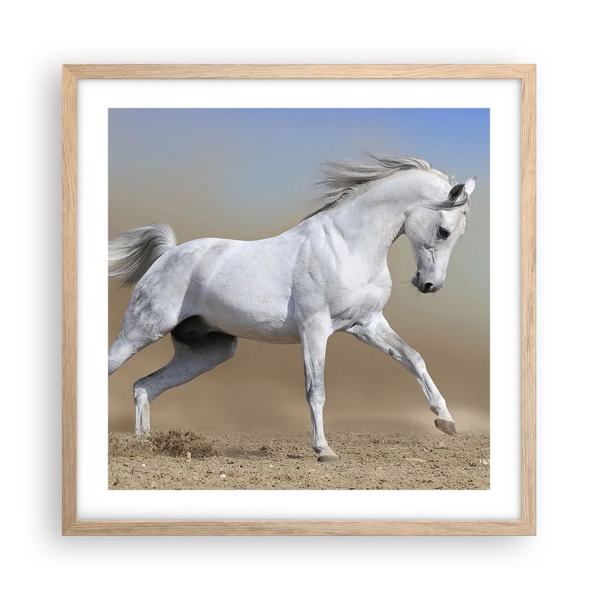 Affiche dans un chêne clair - Poster - Le plus beau conte de fées arabe - 50x50 cm