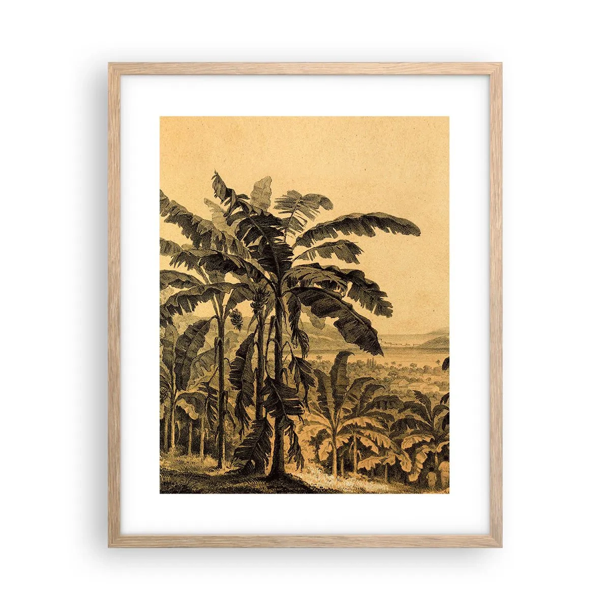 Affiche dans un chêne clair - Poster - Dans un climat colonial - 40x50 cm