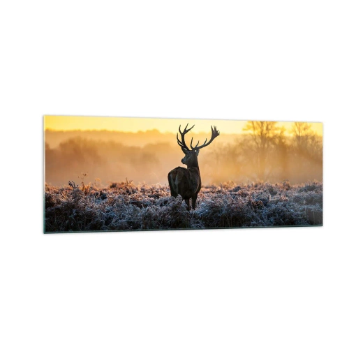 Impression sur verre - Image sur verre - Un cerf dans une clairière gelée au lever du soleil - 140x50cm - Couronné pour sa succession - Décoration murale moderne pour le salon et la chambre ARTTOR
