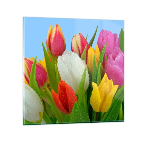 Impression sur verre - Image sur verre - Un arc-en-ciel fleuri en gouttes de rosée - 60x60 cm