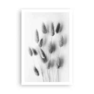 Affiche - Poster - Son herbe duveteuse - 61x91 cm