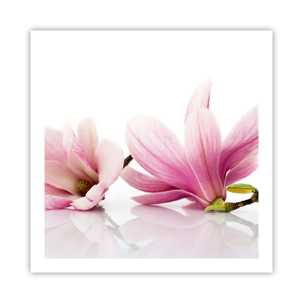 Affiche - Poster - Délicat comme une brise de printemps - 60x60 cm