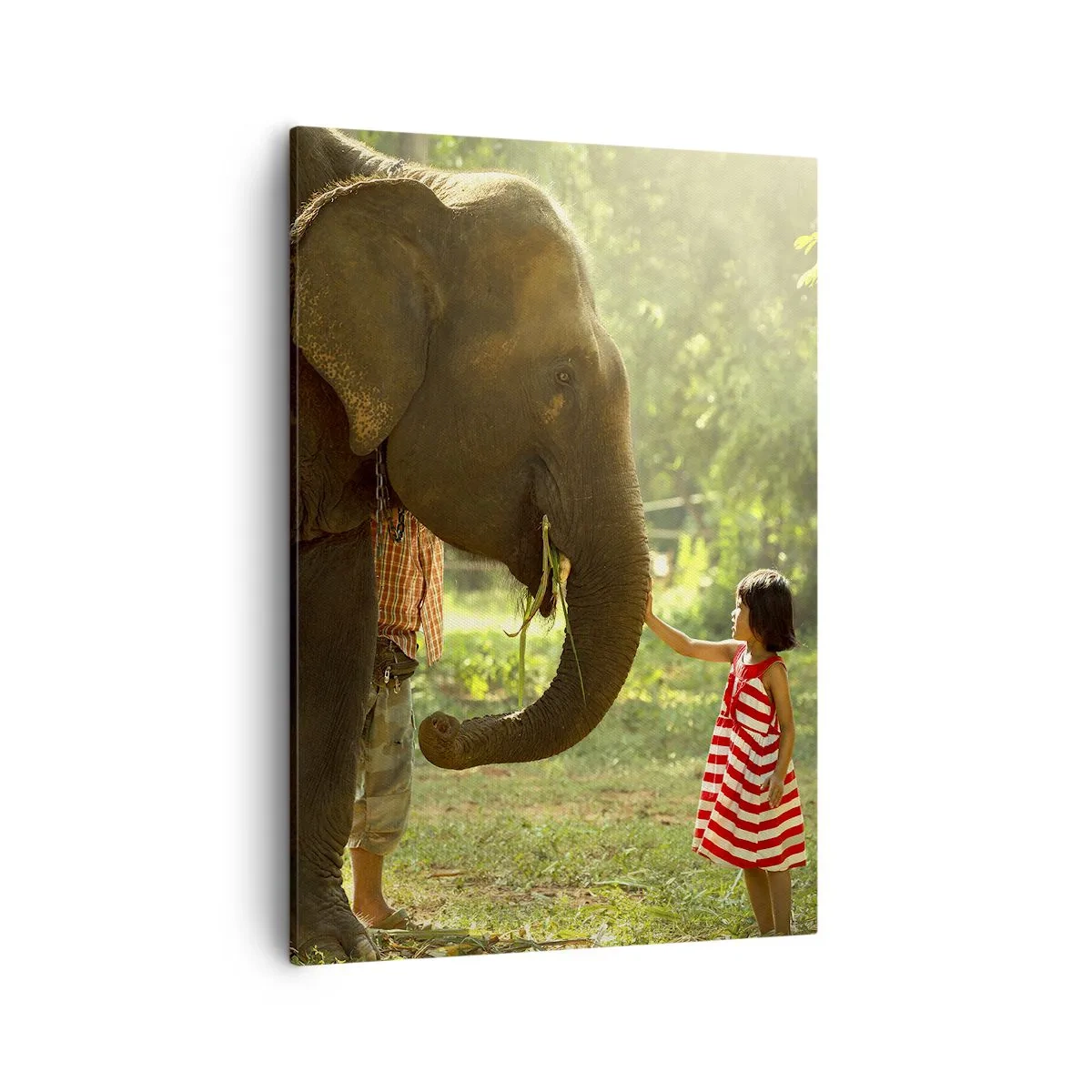 Impression sur toile - Image sur toile - Une fille en robe rouge touchant un éléphant dans la forêt. - 50x70cm - La force de l'amitié - Décoration murale moderne pour le salon et la chambre ARTTOR
