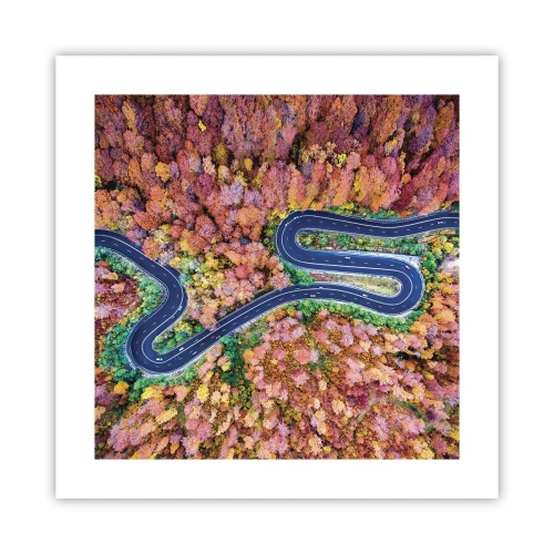 Affiche - Poster - Route sinueuse à travers la forêt - 40x40 cm
