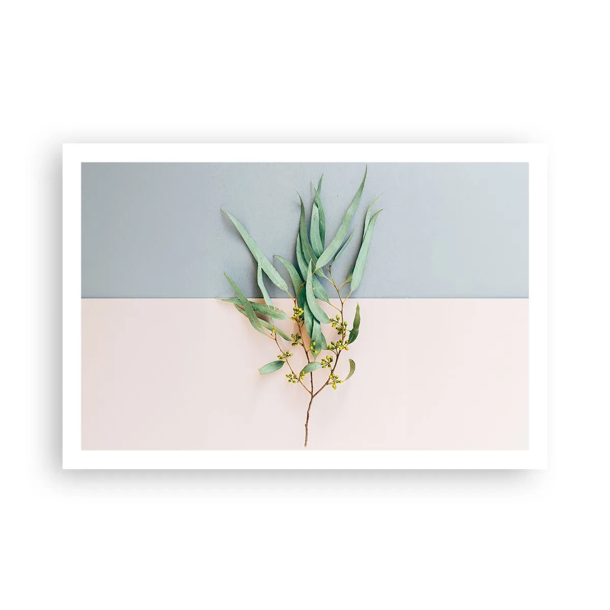 Affiche - Poster - Subtilité pastel - 91x61 cm