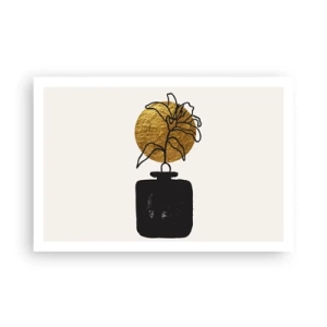 Affiche - Poster - La beauté vaut son pesant d'or - 91x61 cm