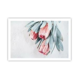 Affiche - Poster - Honte de leur propre beauté - 91x61 cm