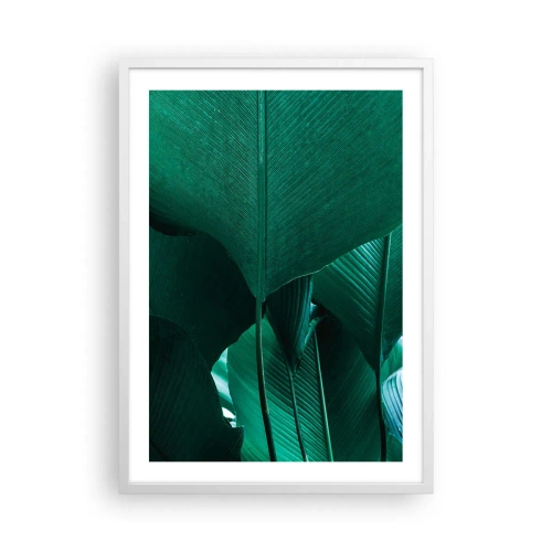 Affiche dans un cadre blanc - Poster - Tourné vers la lumière - 50x70 cm