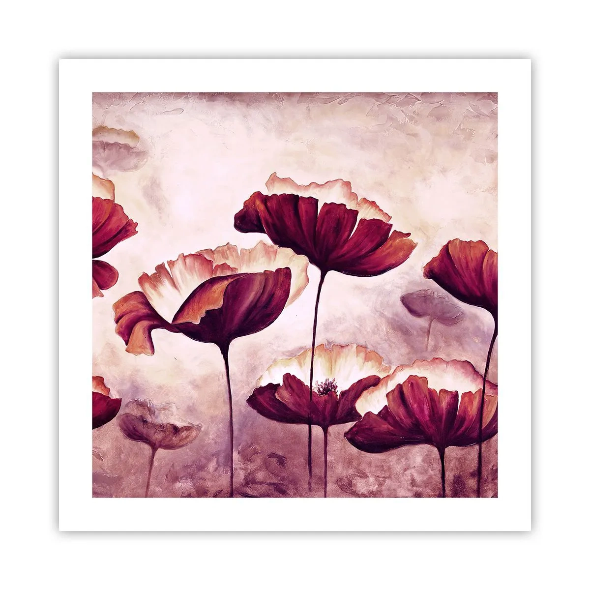 Affiche - Poster - Pétale rouge et blanc - 50x50 cm