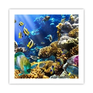 Affiche - Poster - Beaucoup de circulation sur la route des vacances - 50x50 cm