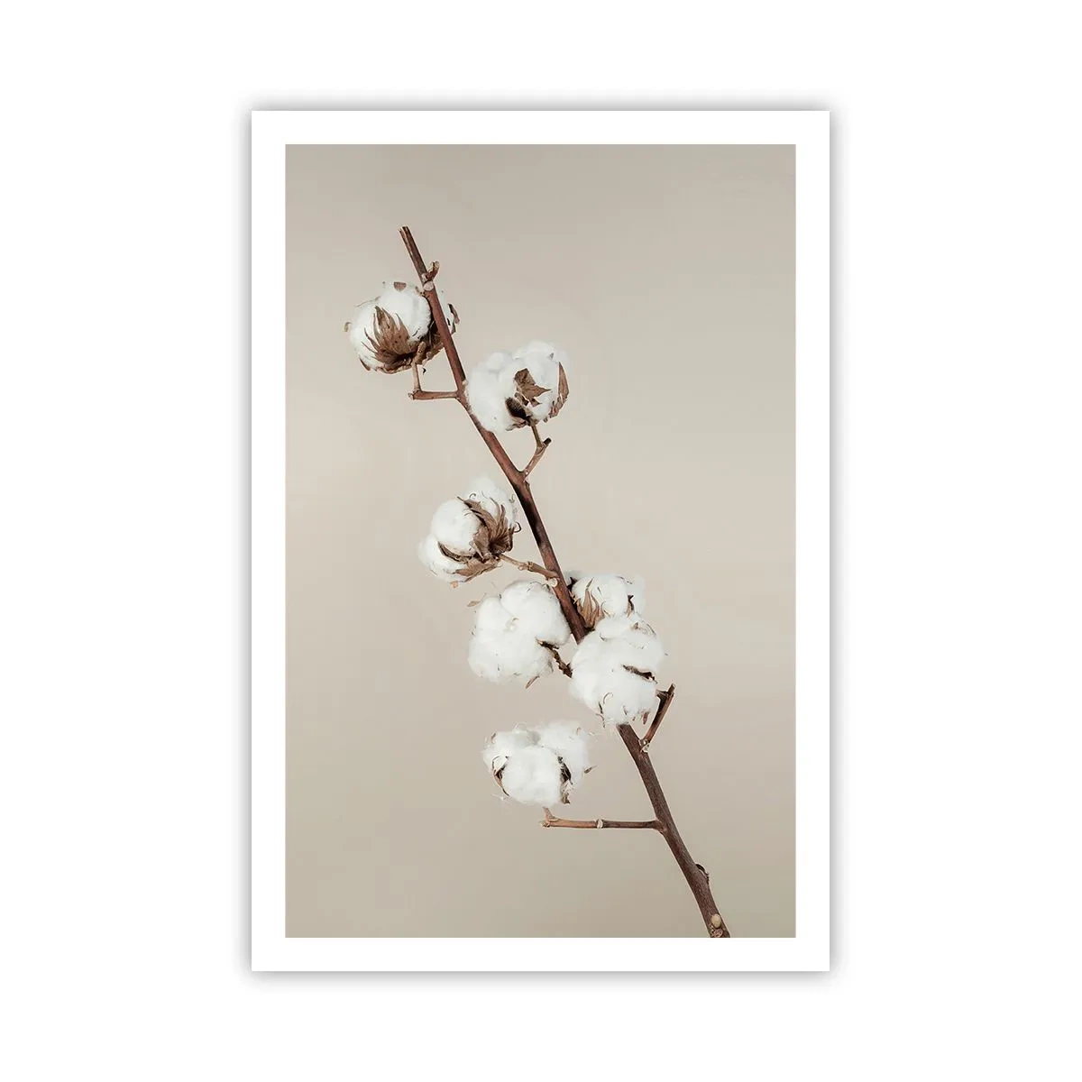 Affiche - Poster - A la source de la douceur - 61x91 cm