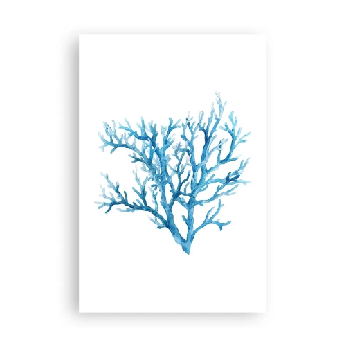 Affiche - Poster - Filigrane nautique - 61x91 cm