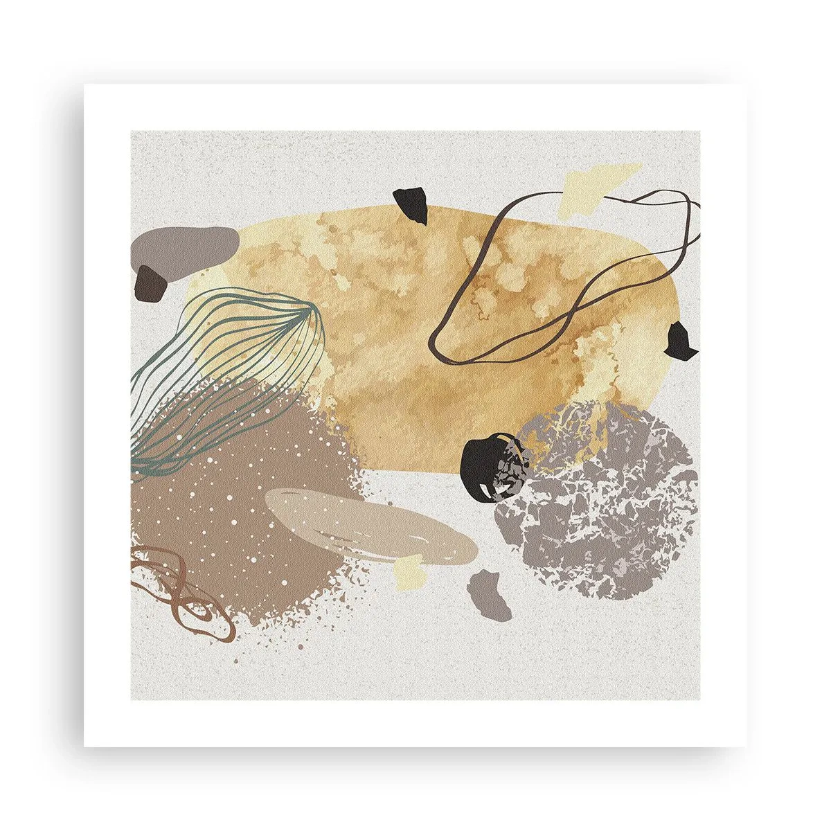 Affiche - Poster - Plumcologie appliquée - 50x50 cm