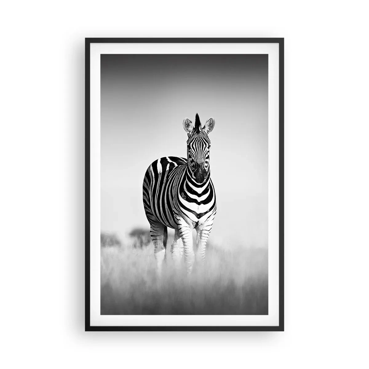 Affiche dans un cadre noir - Poster - Le monde est bel et bien noir et blanc - 61x91 cm