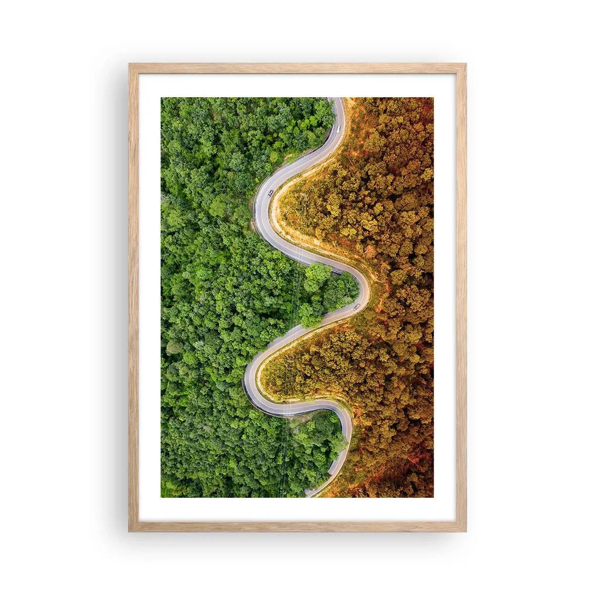 Affiche dans un chêne clair - Poster - Frontieres et differences - 50x70 cm