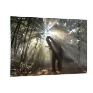 Impression sur verre - Image sur verre - Un éléphant dans une forêt éclairée par la lumière du soleil - 120x80cm - Sous la bonne étoile - Décoration murale moderne pour le salon et la chambre ARTTOR