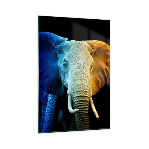 Impression sur verre - Image sur verre - Portrait d'éléphant aux couleurs de l'arc-en-ciel - 80x120cm - Excentrique, pas bizarre - Décoration murale moderne pour le salon et la chambre ARTTOR