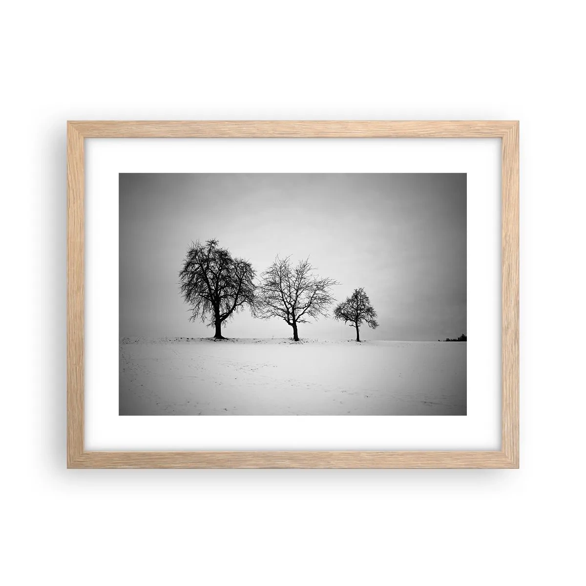 Affiche dans un chêne clair - Poster - A quoi rêvent-ils? - 40x30 cm