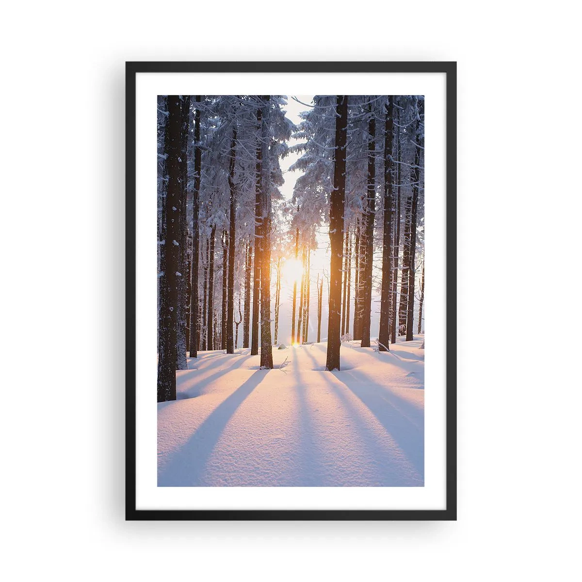 Affiche dans un cadre noir - Poster - Forêt d'hiver avec les rayons du soleil qui brillent à travers les arbres - 50x70cm - Clairement en noir et blanc - Décoration murale moderne pour le salon et la chambre ARTTOR
