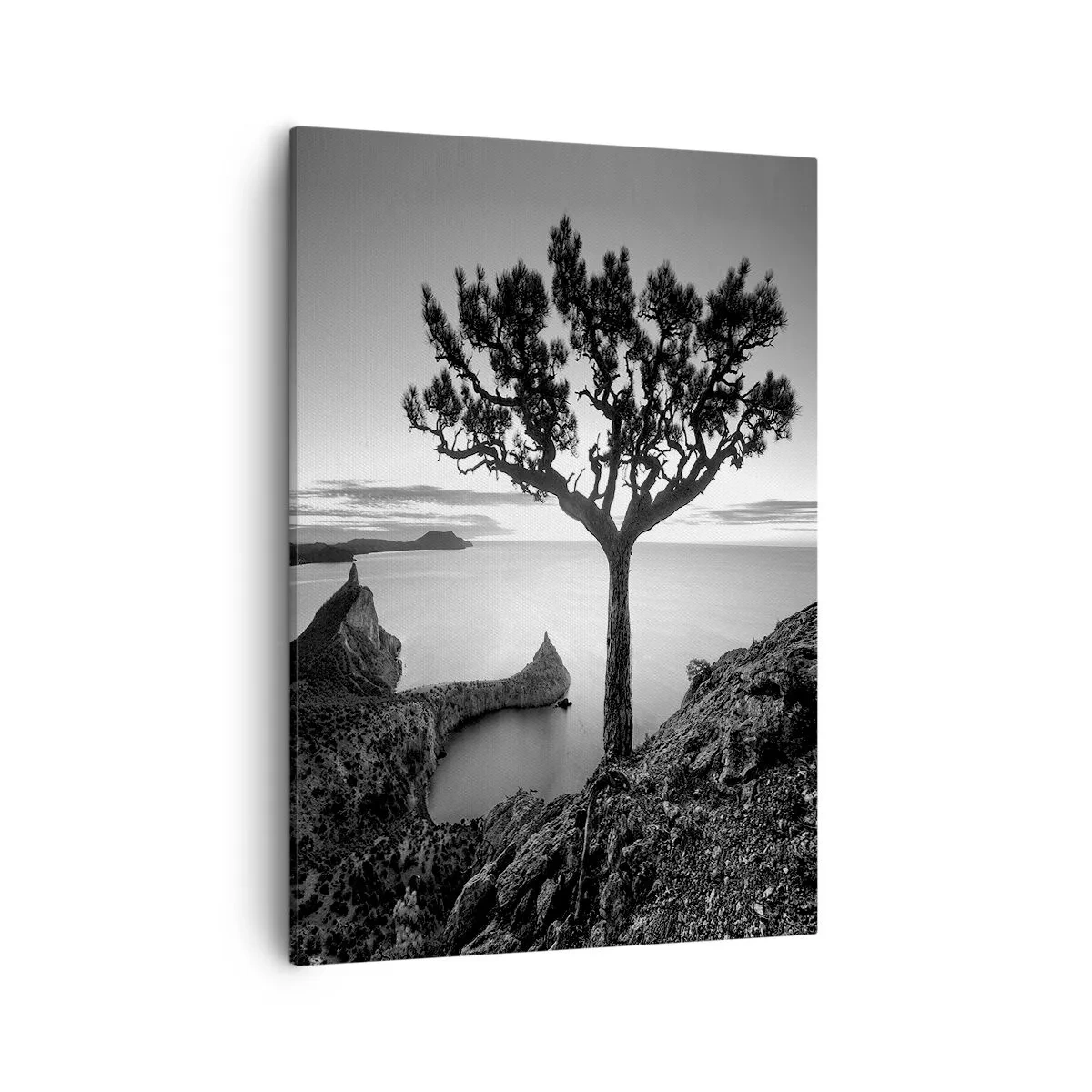 Impression sur toile - Image sur toile - Paysage noir et blanc avec un arbre solitaire sur une falaise au-dessus de la mer - 50x70cm - Paix jusqu'à l'horizon - Décoration murale moderne pour le salon et la chambre ARTTOR