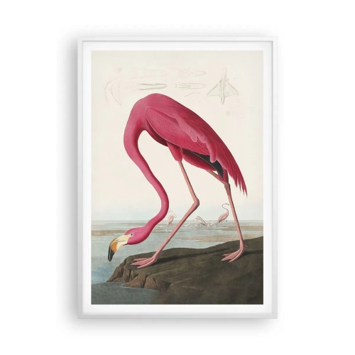 Affiche dans un cadre blanc - Poster - Création étonnante - 70x100 cm