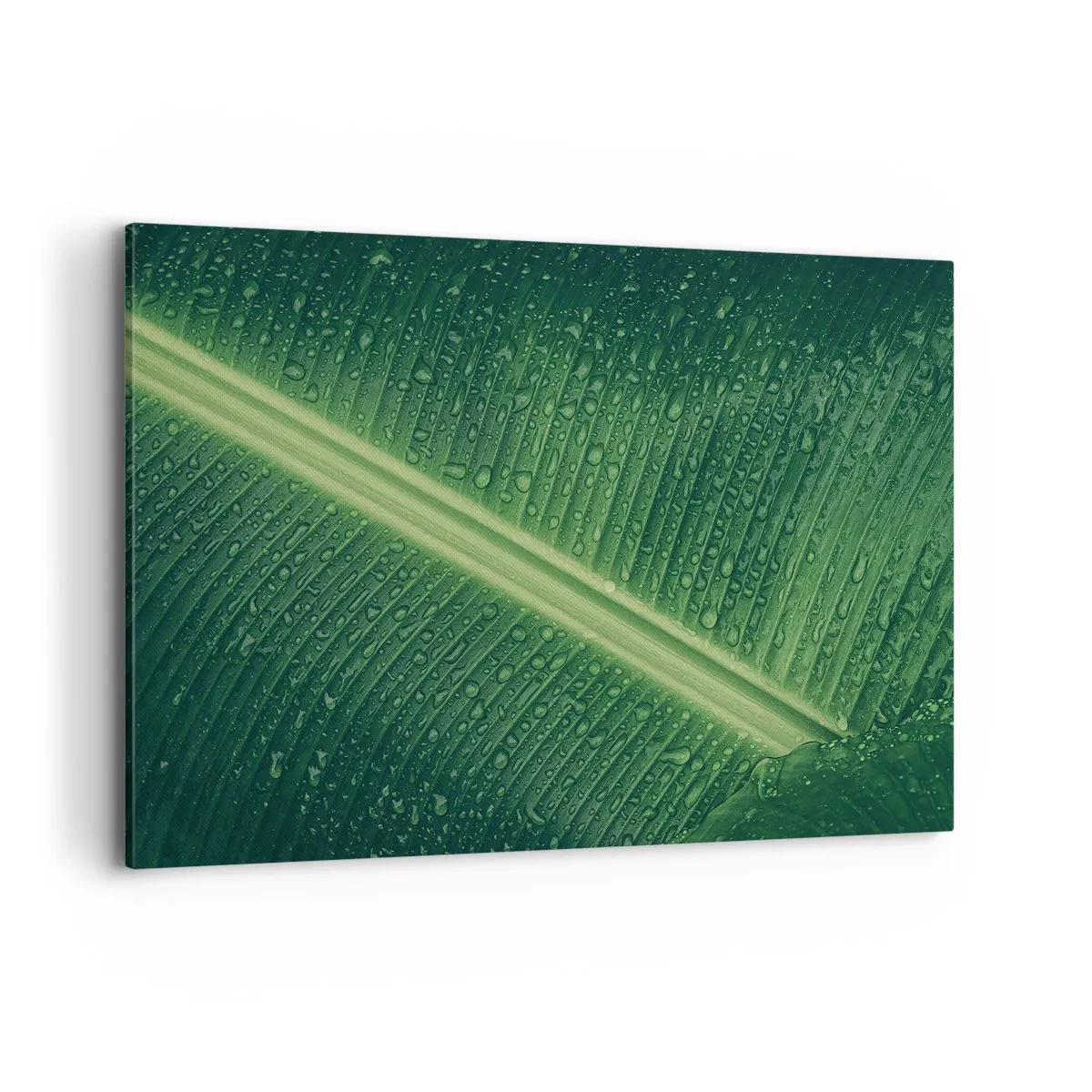 Impression sur toile - Image sur toile - Une feuille verte avec des gouttes d'eau à sa surface - 120x80cm - Structure de vert - Décoration murale moderne pour le salon et la chambre ARTTOR