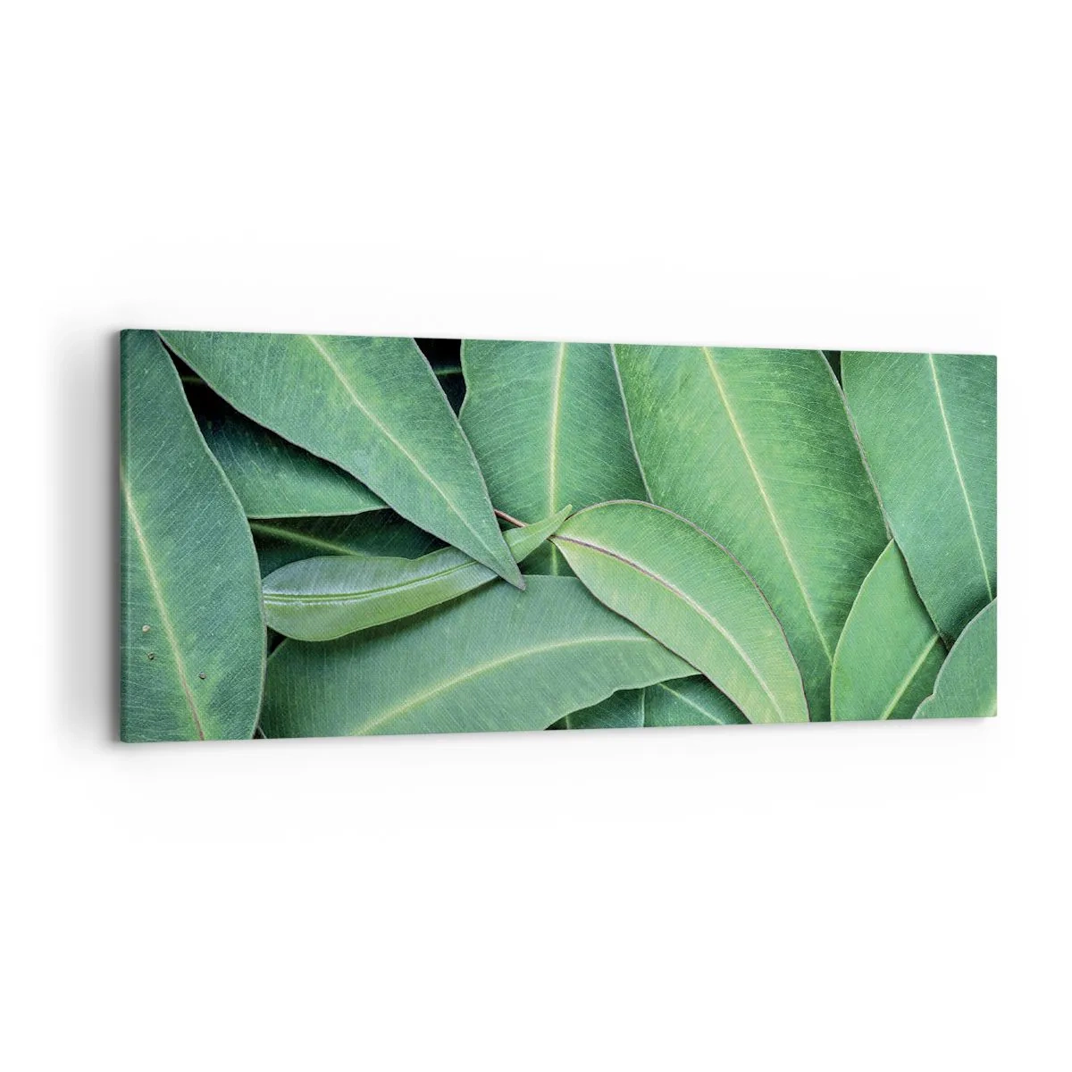 Impression sur toile - Image sur toile - Gros plan de feuilles vertes créant un motif naturel - 120x50cm - Juteux et frais - Décoration murale moderne pour le salon et la chambre ARTTOR