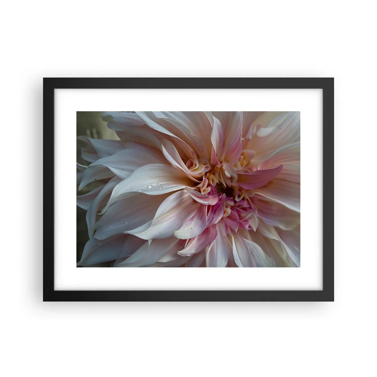 Affiche dans un cadre noir - Poster - Fraîcheur fleurissante - 40x30 cm