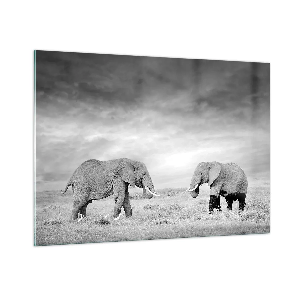 Impression sur verre - Image sur verre - Deux éléphants dans la savane dans des tons de noir et blanc - 100x70cm - Le gris est beau - Décoration murale moderne pour le salon et la chambre ARTTOR