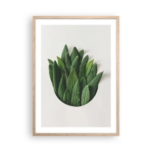 Affiche dans un chêne clair - Poster - Curiosité sans retenue - 50x70 cm