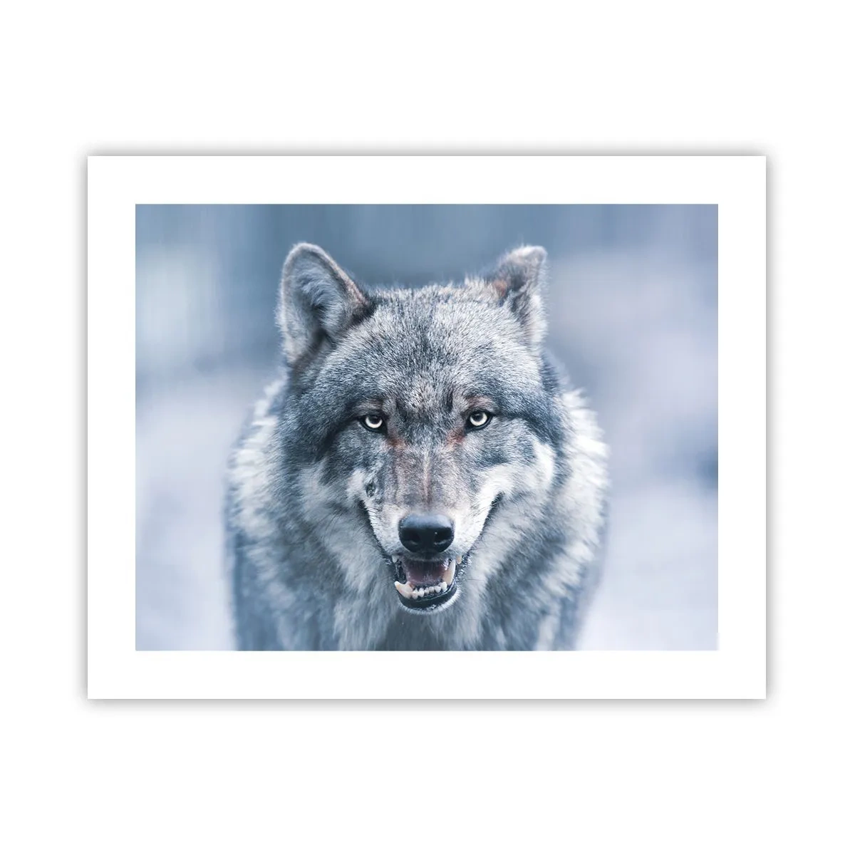 Affiche - Poster - Relèverez-vous le défi ? - 50x40 cm