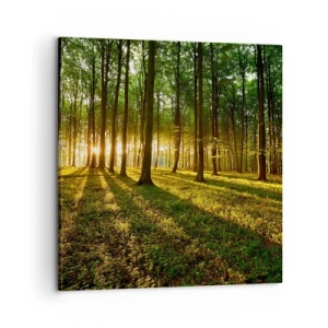 Impression sur toile - Image sur toile - Toutes les photographies de printemps - 60x60 cm