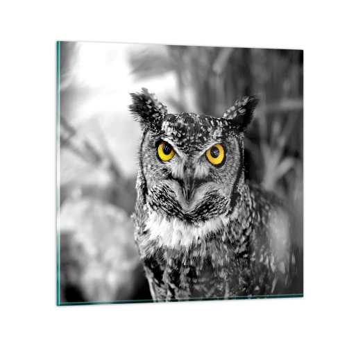 Impression sur verre - Image sur verre - Rien ne se cachera - 70x70 cm
