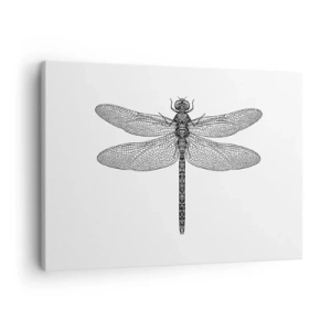 Impression sur toile - Image sur toile - Dessin noir et blanc d'une libellule sur fond blanc dans un style minimaliste - 70x50cm - Précision de la nature - Décoration murale moderne pour le salon et la chambre ARTTOR