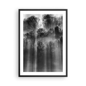 Affiche dans un cadre noir - Poster - Forêt noire et blanche dans le brouillard avec les rayons du soleil - 50x70cm - Dans les flots de lumière - Décoration murale moderne pour le salon et la chambre ARTTOR