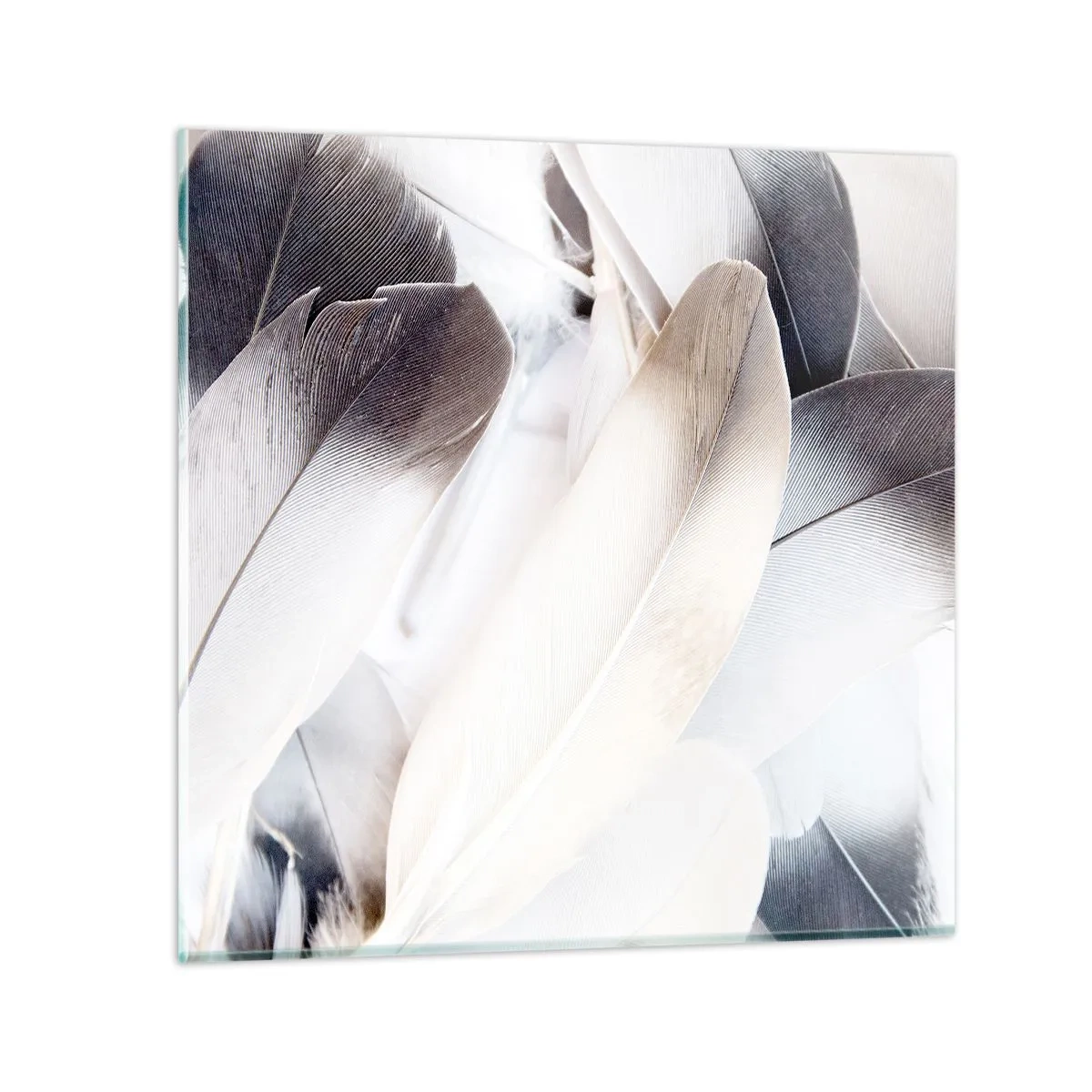 Impression sur verre - Image sur verre - Presque angélique - 40x40 cm