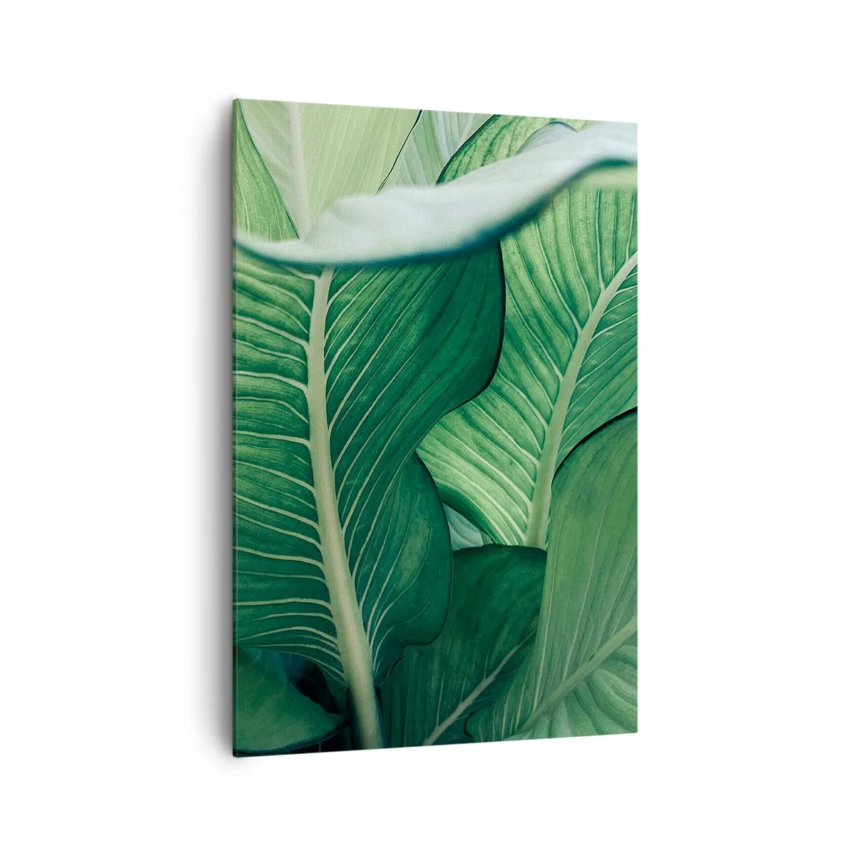 Impression sur toile - Image sur toile - Feuilles vertes avec des détails et une structure expressifs - 70x100cm - Une vie intensément verte - Décoration murale moderne pour le salon et la chambre ARTTOR