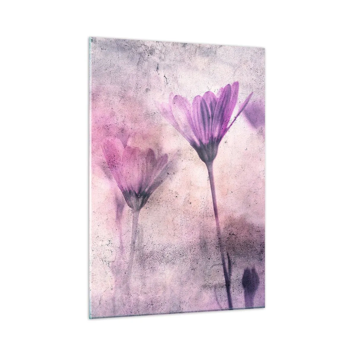 Impression sur verre - Image sur verre - Fleurs délicates aux tons pastel violets - 50x70cm - Rêve de fleurs - Décoration murale moderne pour le salon et la chambre ARTTOR