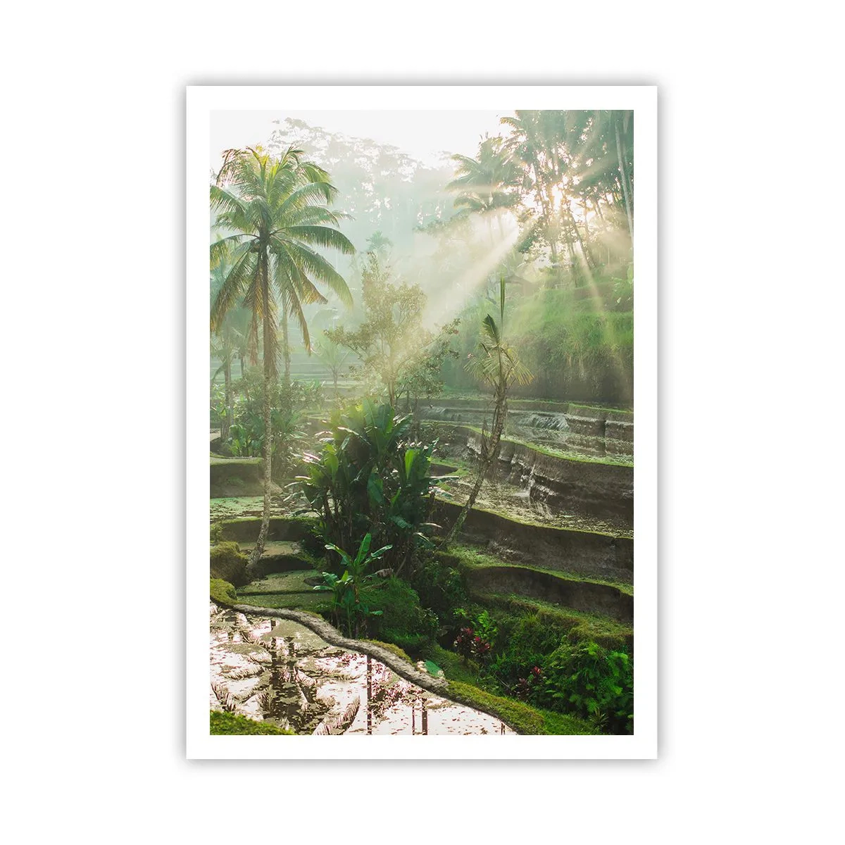 Affiche - Poster - Grandir au soleil - 70x100 cm